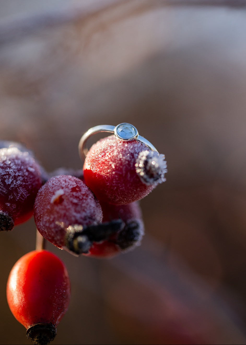 Ice